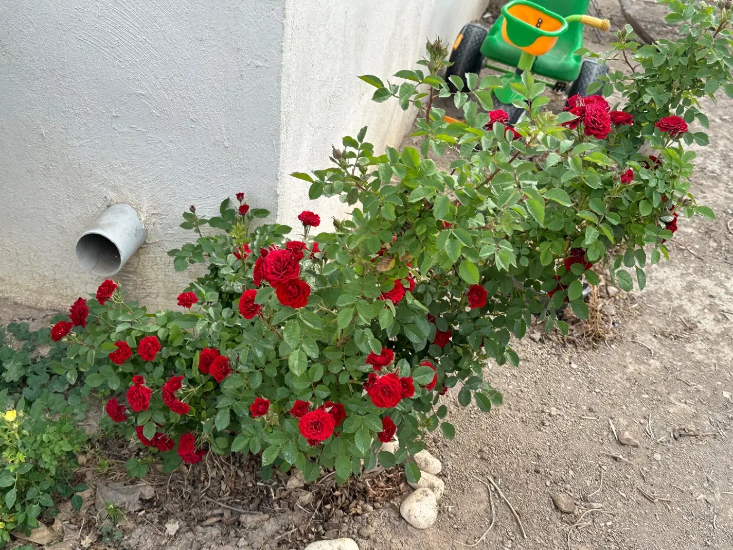 اجاره ملک|اجارهٔ خانه و ویلا|اصفهان, ارداجی|دیوار