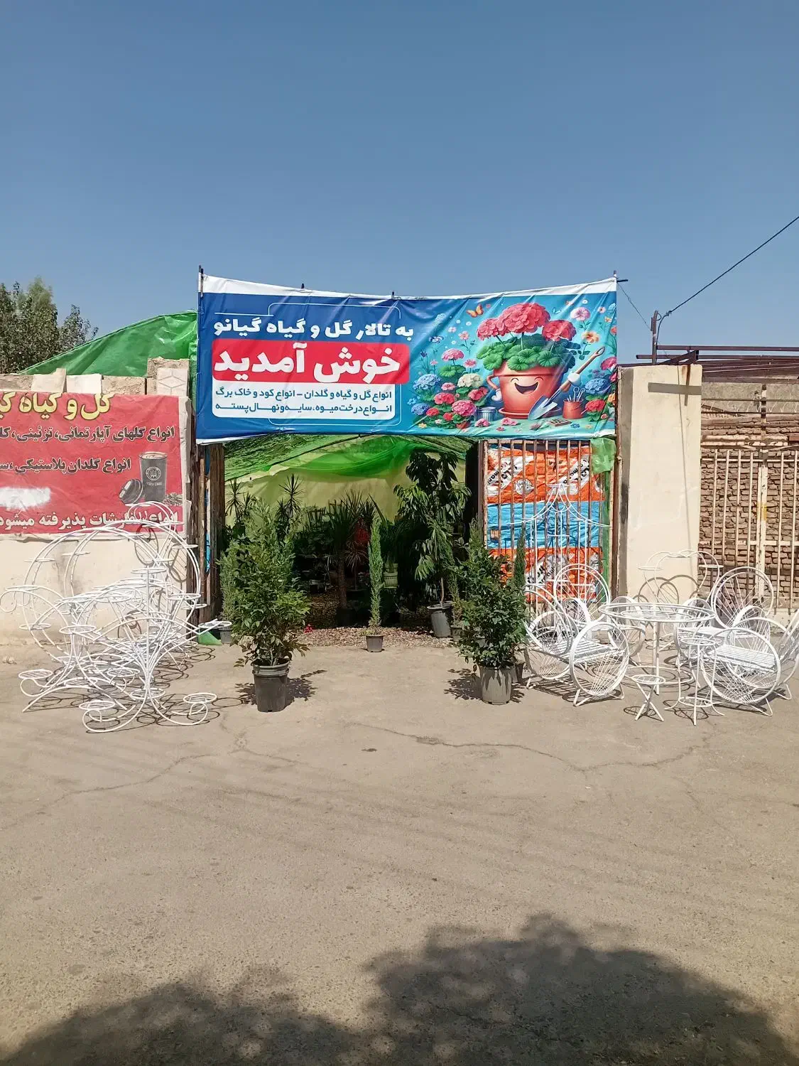 انواع گل و گیاه آپارتمانی و آبنما و...|گل و گیاه طبیعی|کرمان, |دیوار