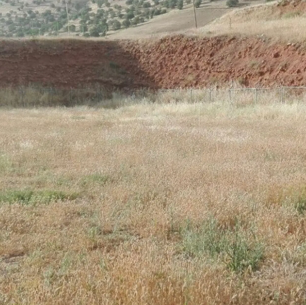 زمین باغ در مزرعه|فروش زمین و ملک کلنگی|صوفیان, |دیوار