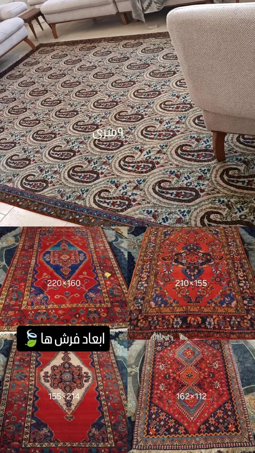 قالی دست بافت فروش|فرش|شهرضا, |دیوار