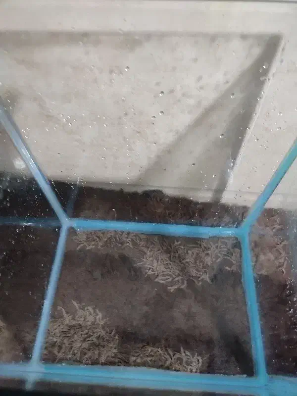 آکواریم و وسایل جانبی آکواریم|ماهی|اراک, |دیوار