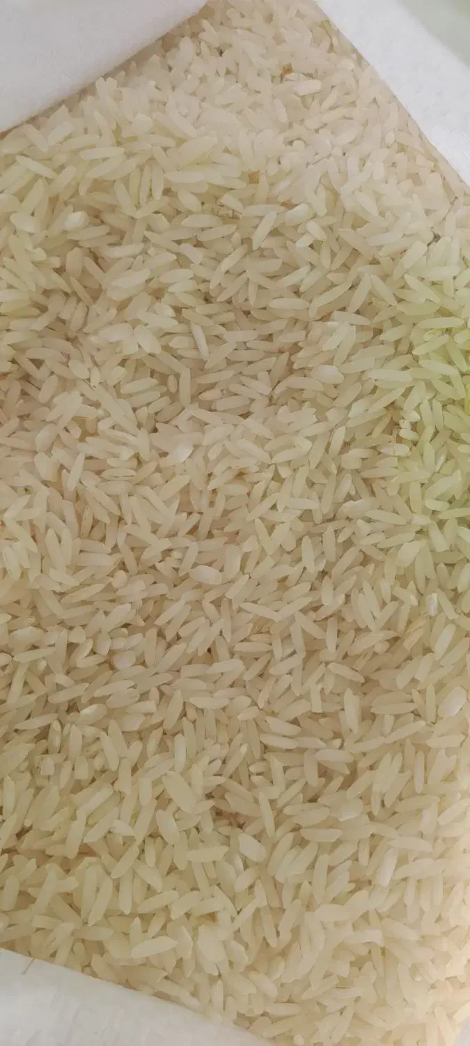 برنج هاشمی|خوردنی و آشامیدنی|کوچصفهان, |دیوار