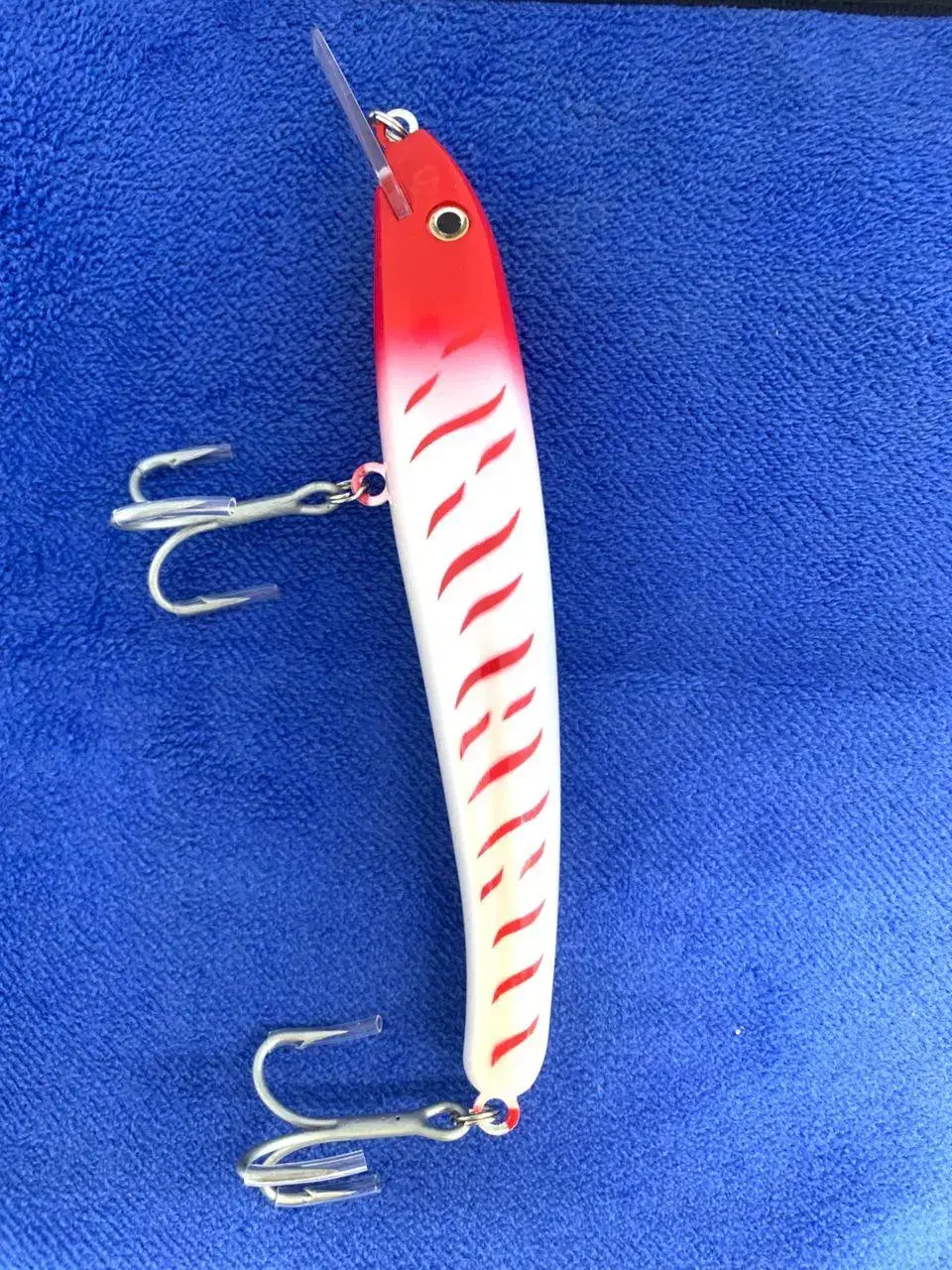 ماهی مصنوعی سفید سر قرمز|ماهی|قشم, |دیوار