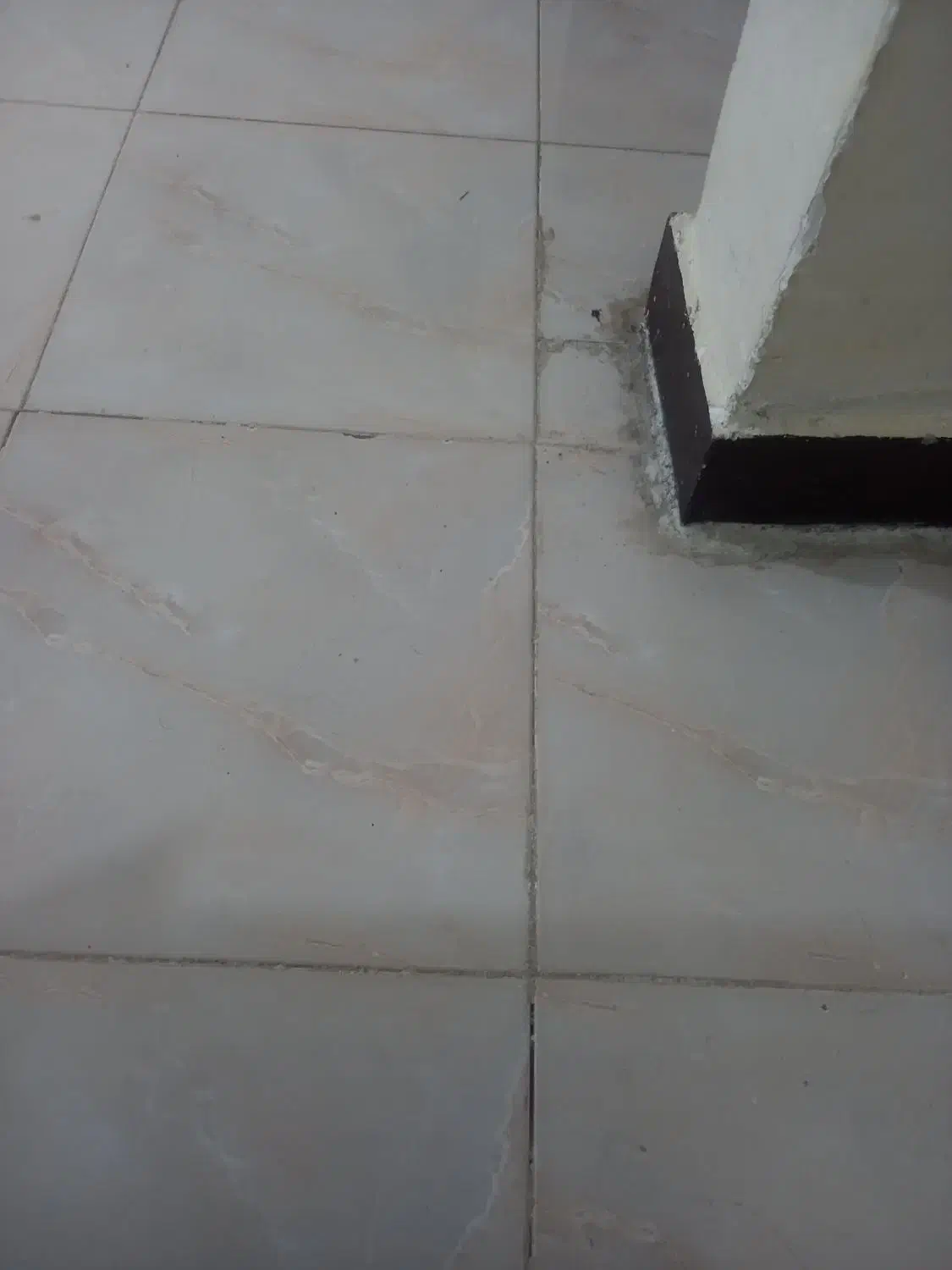 نظافت آپارتمان|خدمات نظافت|بندر ماهشهر, |دیوار