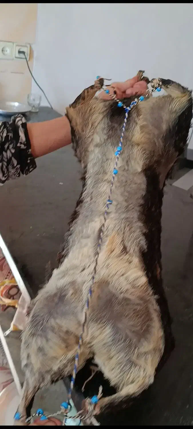 هیزه پوست بزغاله|صنایع دستی و سایر لوازم تزئینی|هندمینی, |دیوار