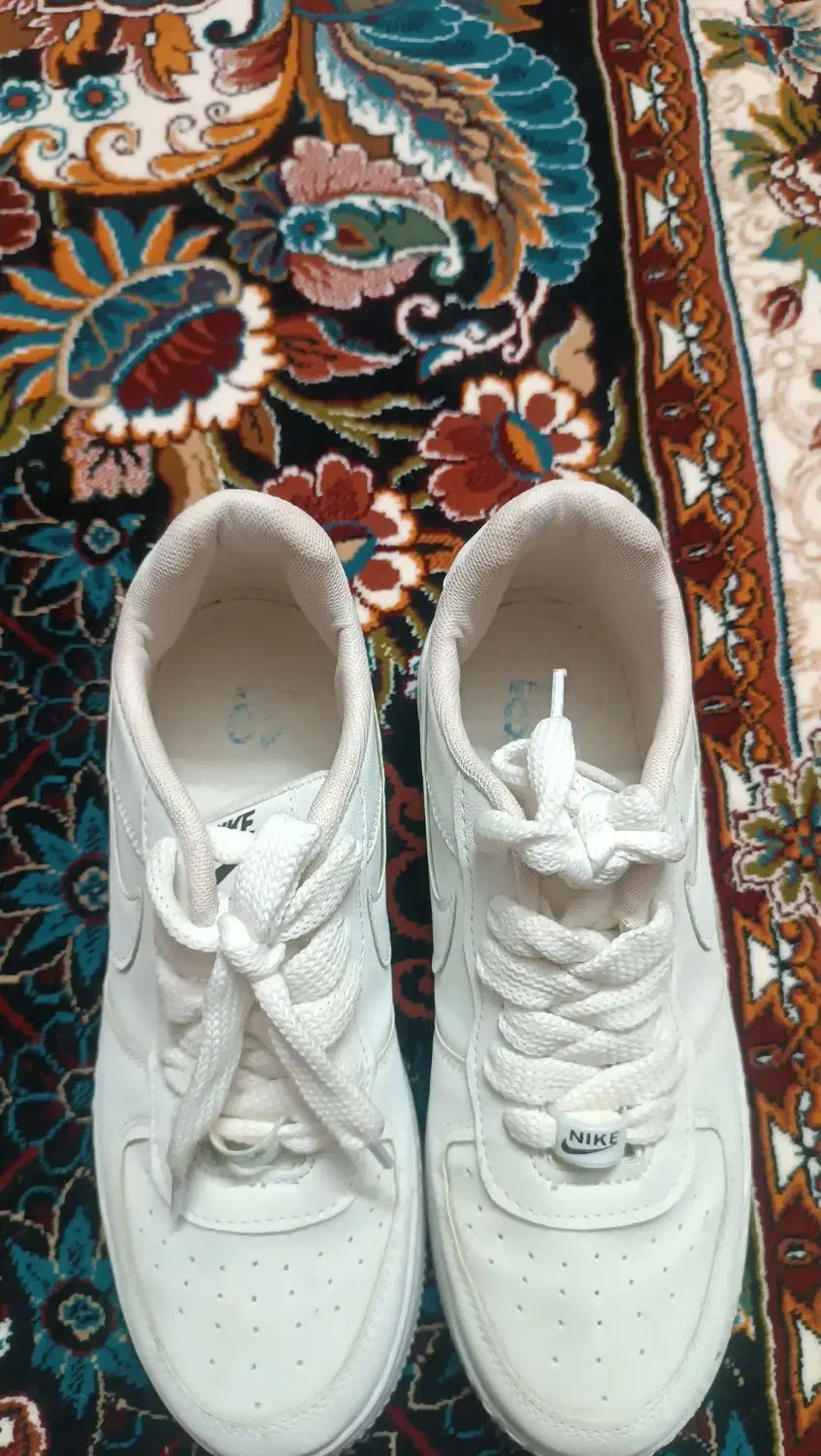 کفش نو|کیف، کفش، کمربند|نیشابور, خط کاشمر|دیوار