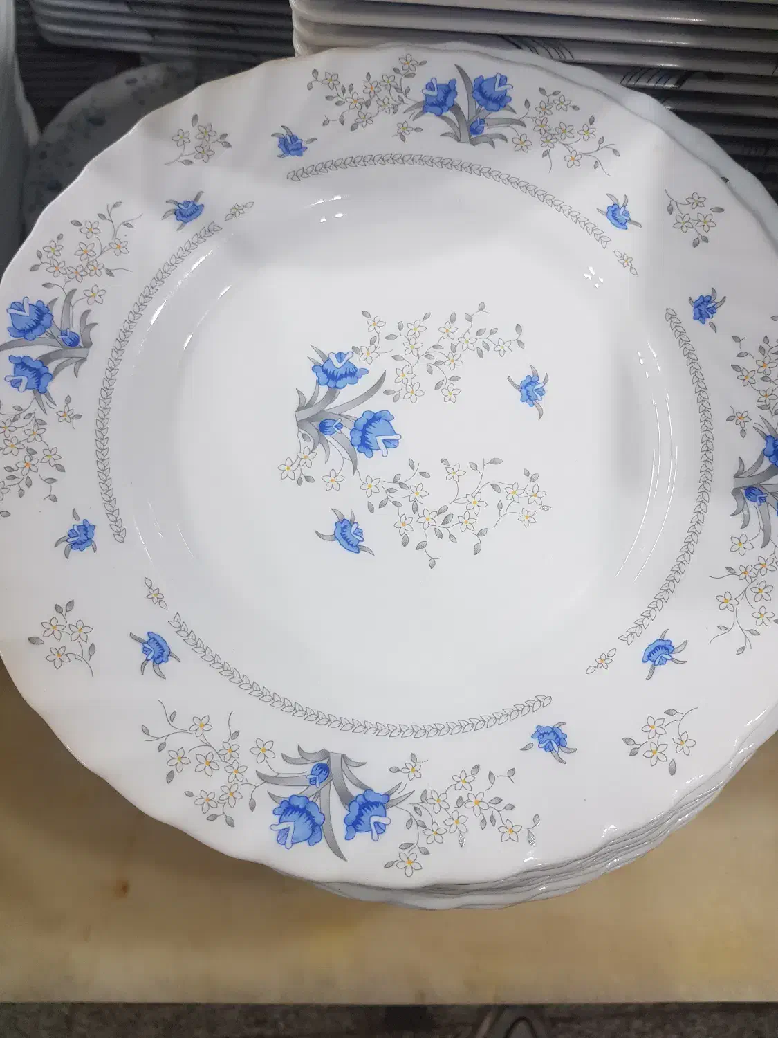 ظروف آرکوپال.چینی ولامین|ظروف سرو و پذیرایی|خوی, |دیوار