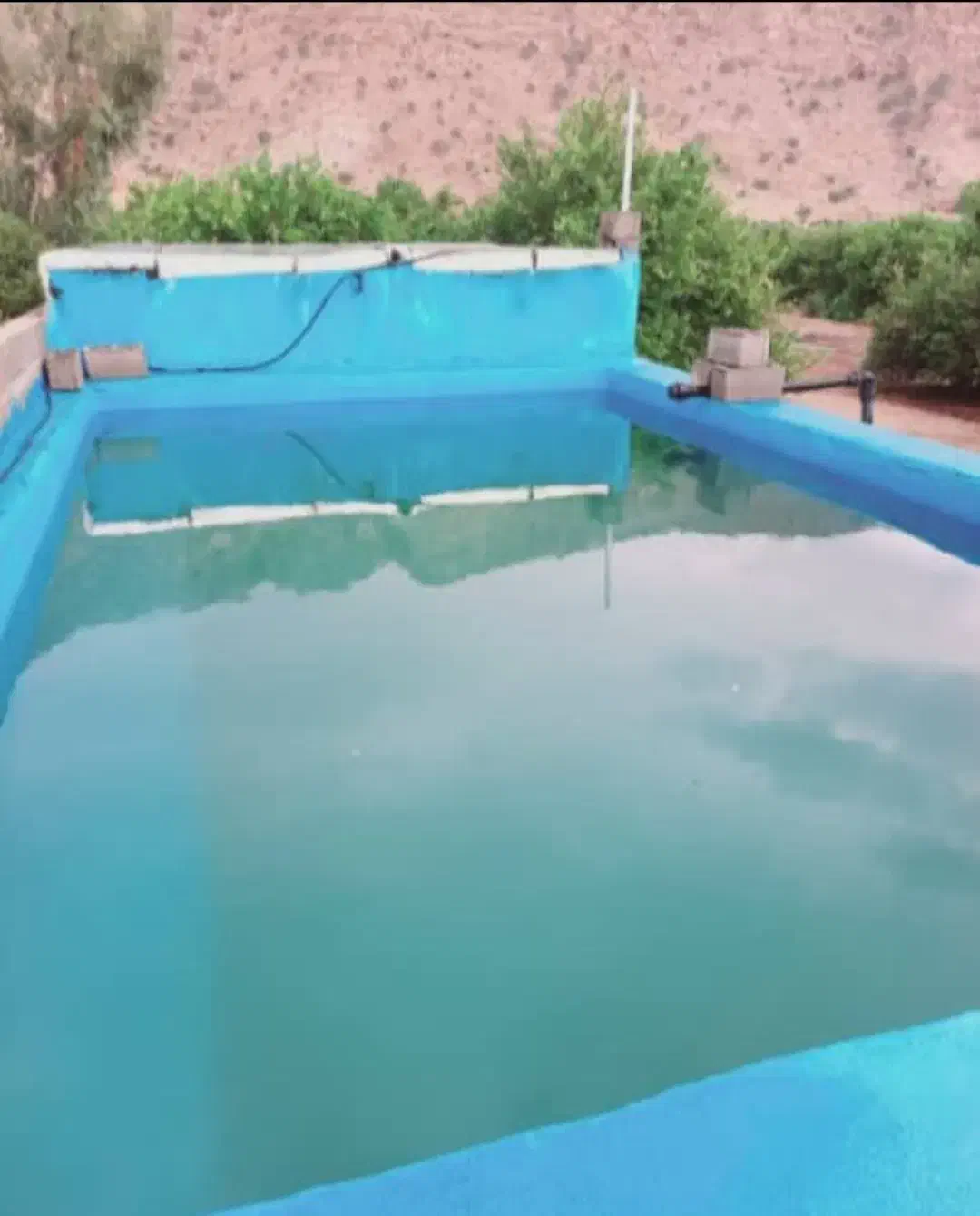 فروش باغ ۵۰۰۰ متری گچساران|فروش زمین و ملک کلنگی|دوگنبدان, |دیوار