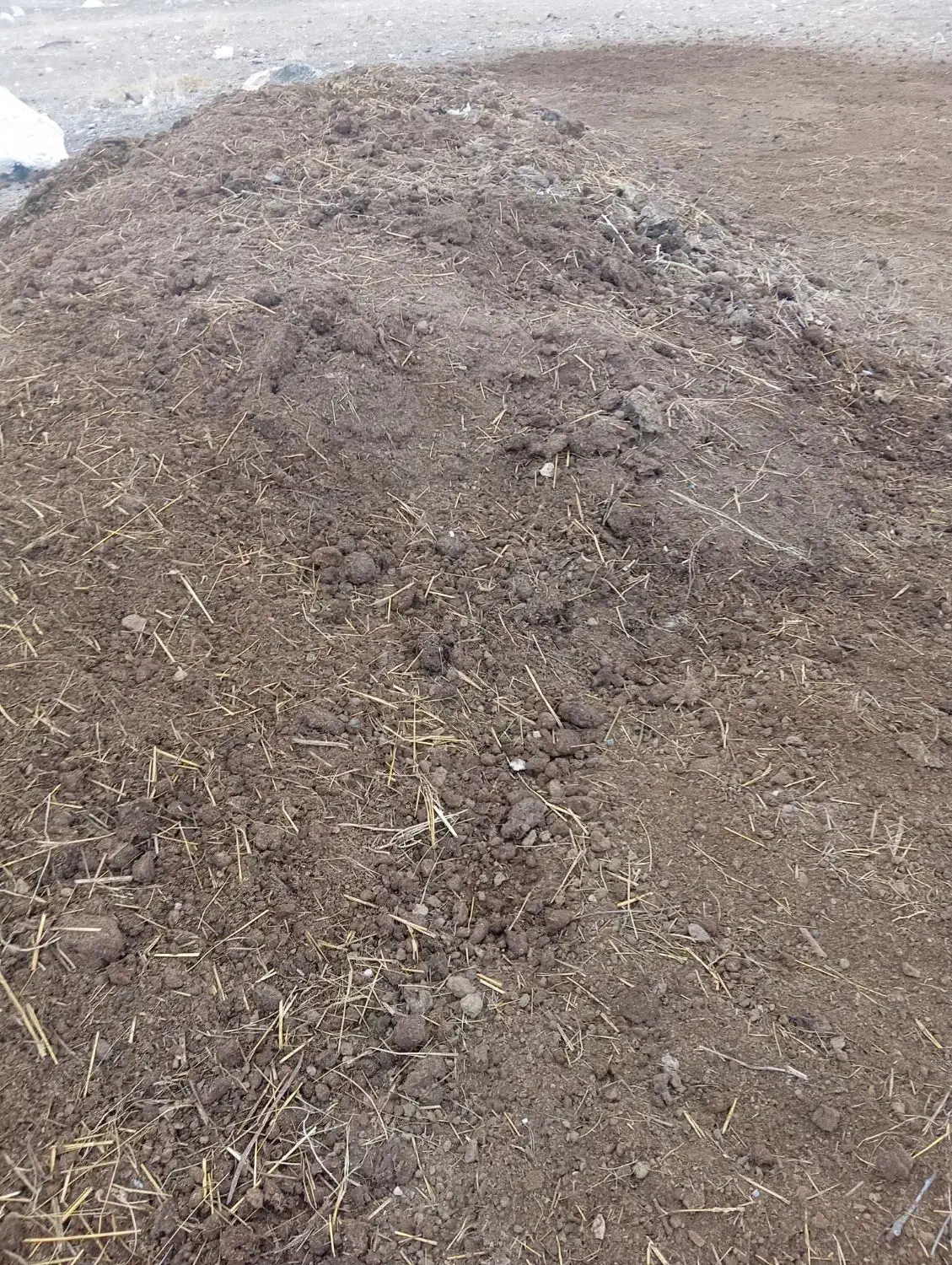 پهن گاو|حیوانات مزرعه|انزل, |دیوار