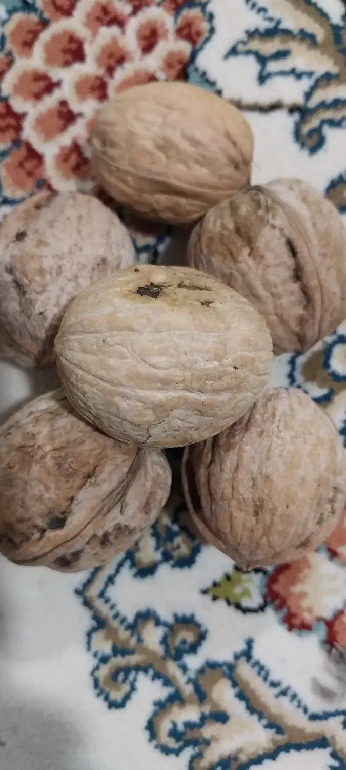 گردوپرمغز|خوردنی و آشامیدنی|بیرانوند, |دیوار