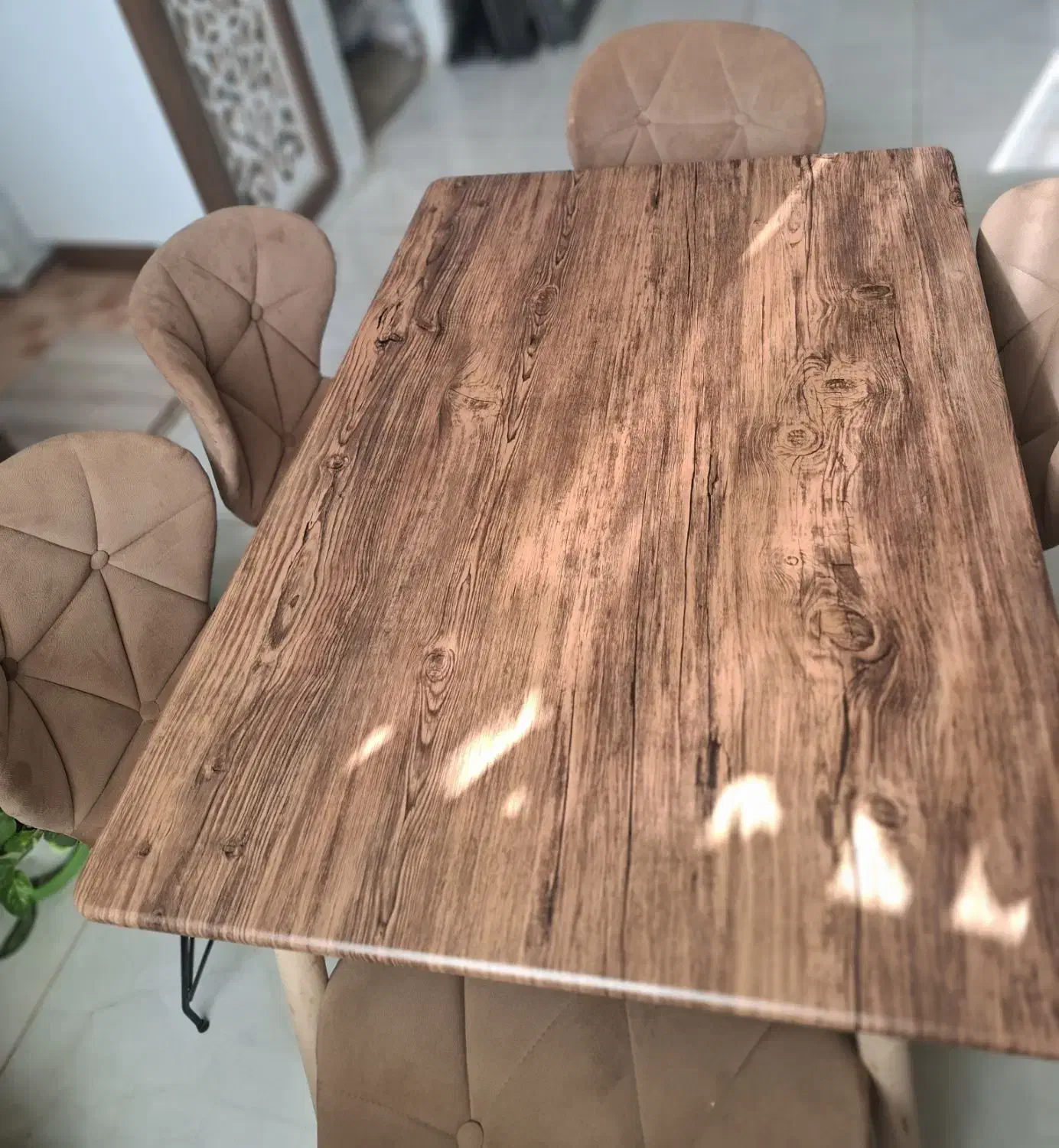 میز نهار خوری ۶ نفره|میز و صندلی غذاخوری|خوشاب, |دیوار