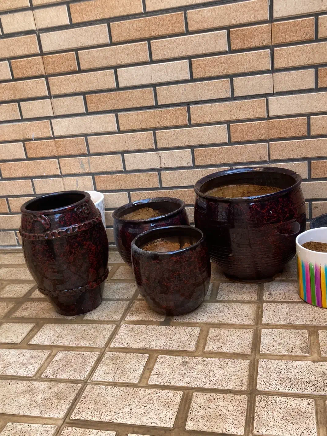 گلدان سفالی|گل و گیاه طبیعی|پاکدشت, حصار امیر|دیوار