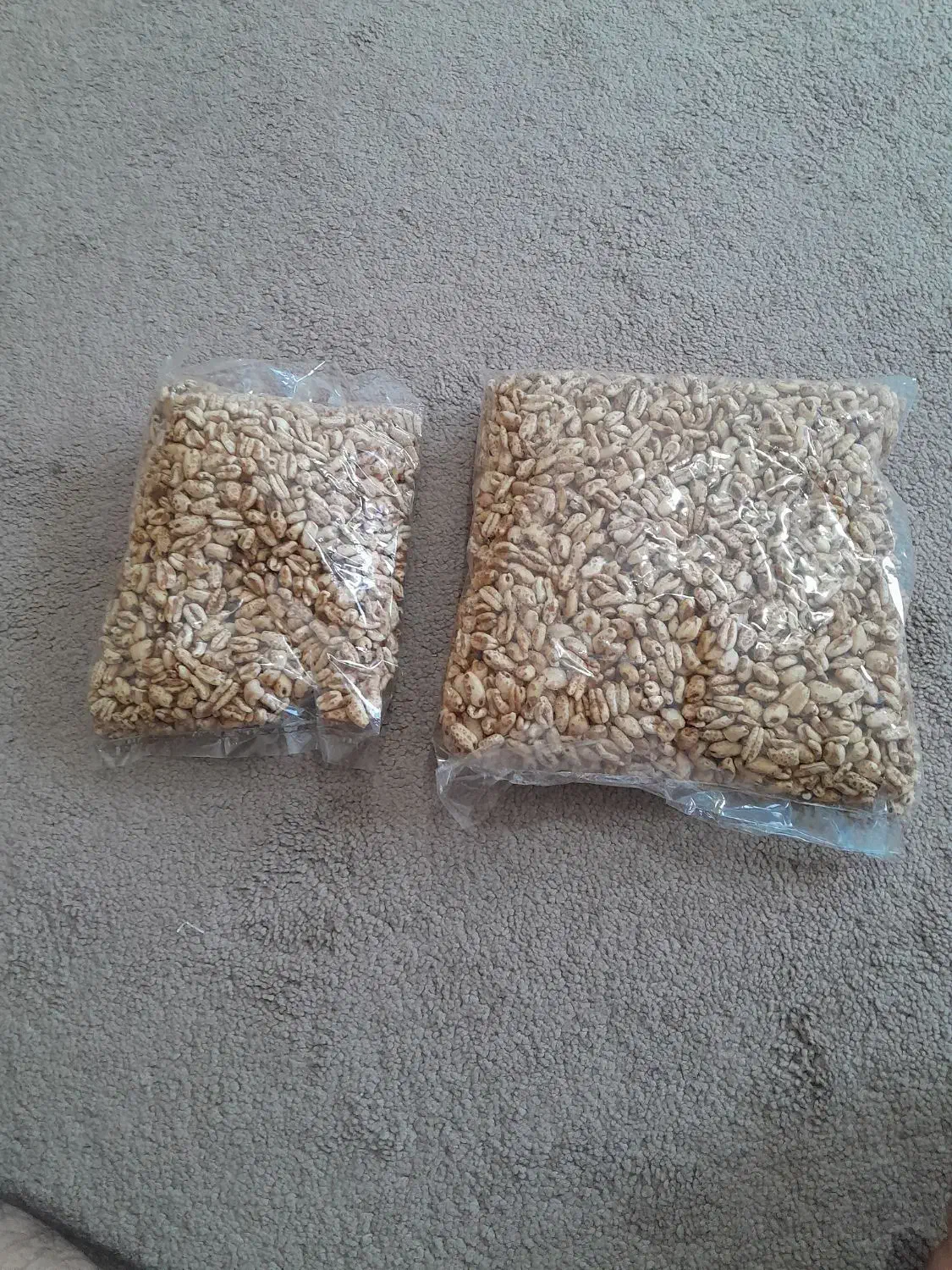 گندمک بسته‌بندی شده|خوردنی و آشامیدنی|قائم‌شهر, |دیوار