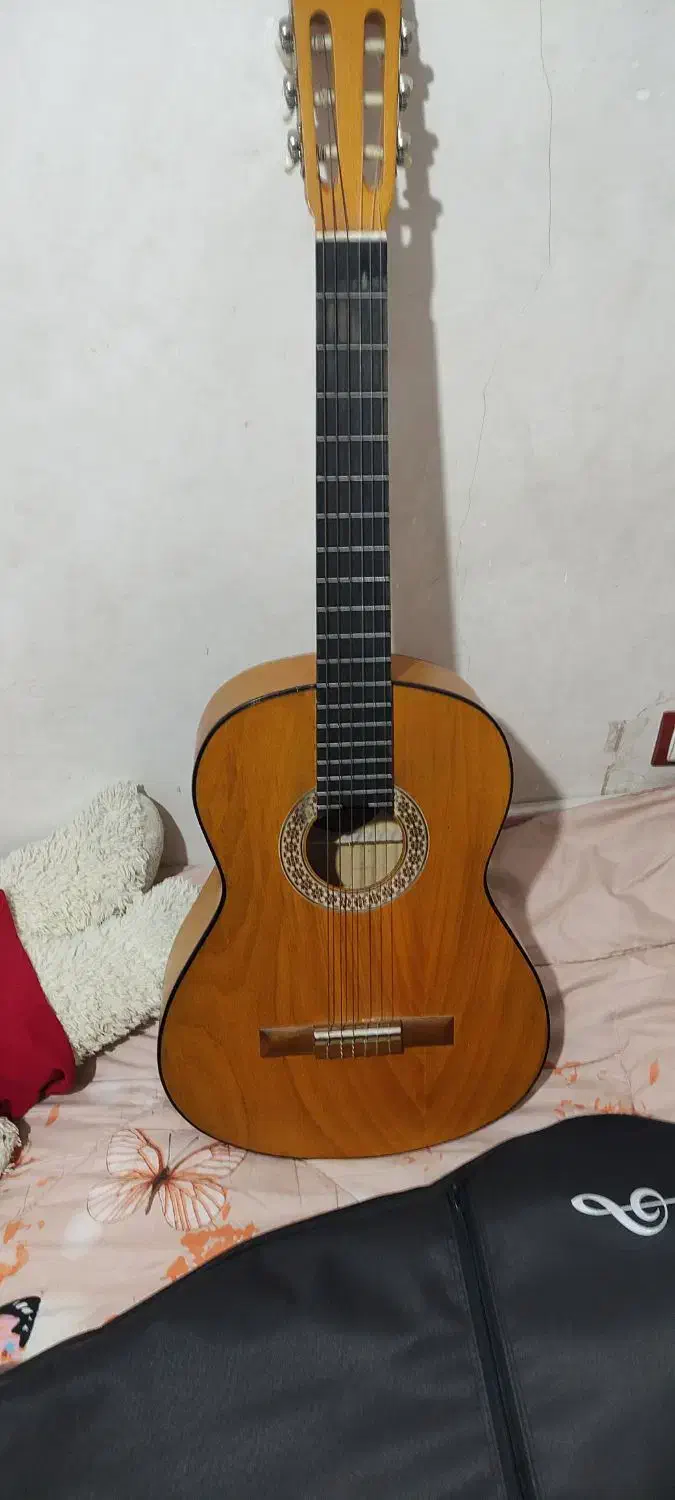 گیتار مدل m2|گیتار، بیس، امپلیفایر|کردکوی, |دیوار