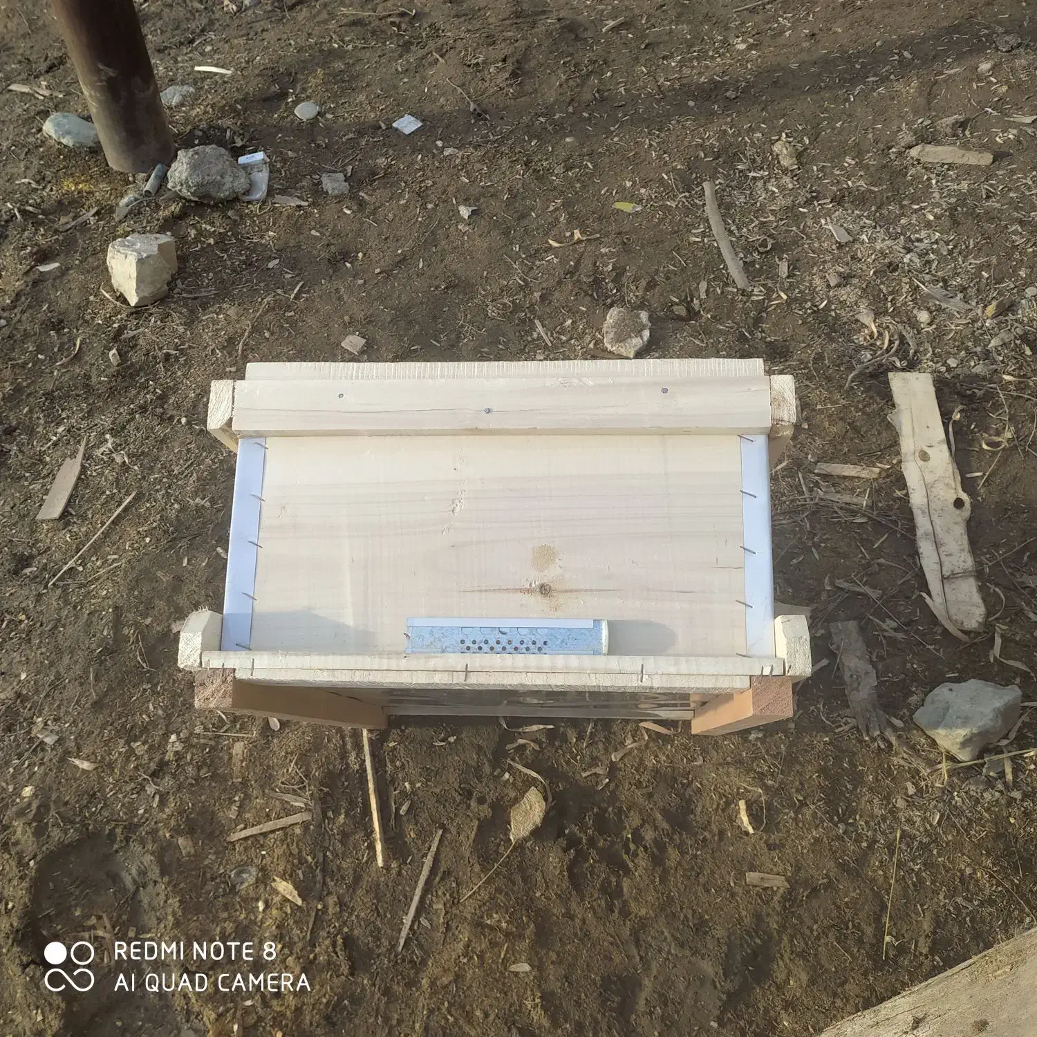 کندو وطبق|حیوانات مزرعه|بوکان, |دیوار