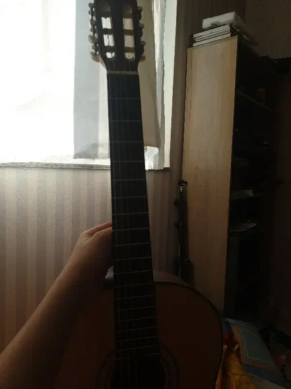 گیتار سوزوکی دست ساز|گیتار، بیس، امپلیفایر|اردبیل, |دیوار