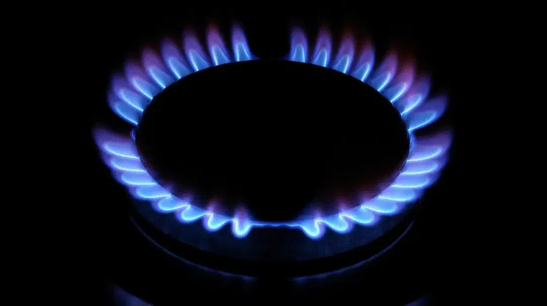 تعمیر اجاق گاز فرگاز آبگرمکن سراسر شیراز|خدمات پیشه و مهارت|شیراز, زند|دیوار