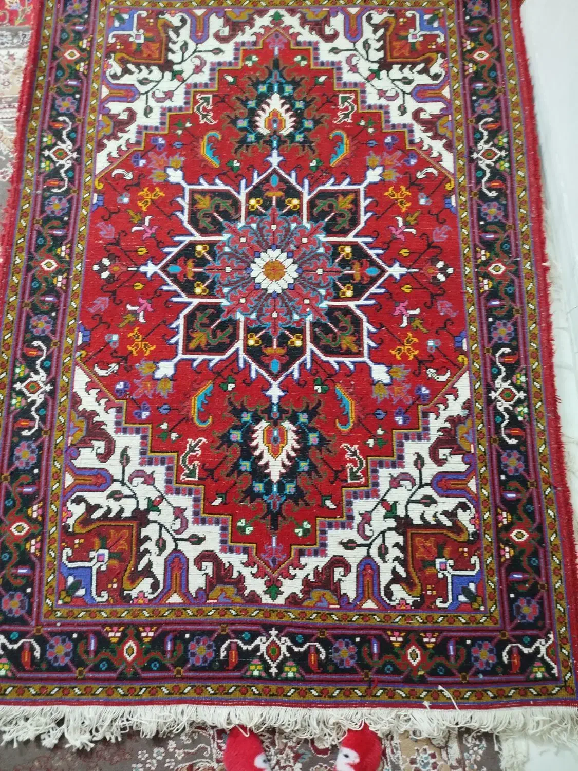 فرش قالیچه|فرش|قرچک, شهرک الحدید|دیوار