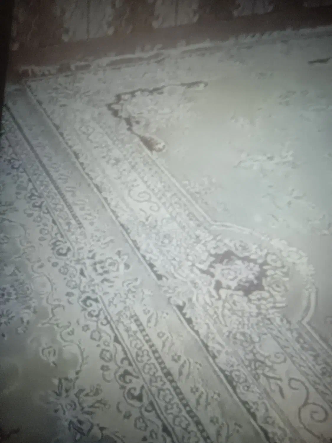 ابو حمیضه|فرش|سوسنگرد, |دیوار