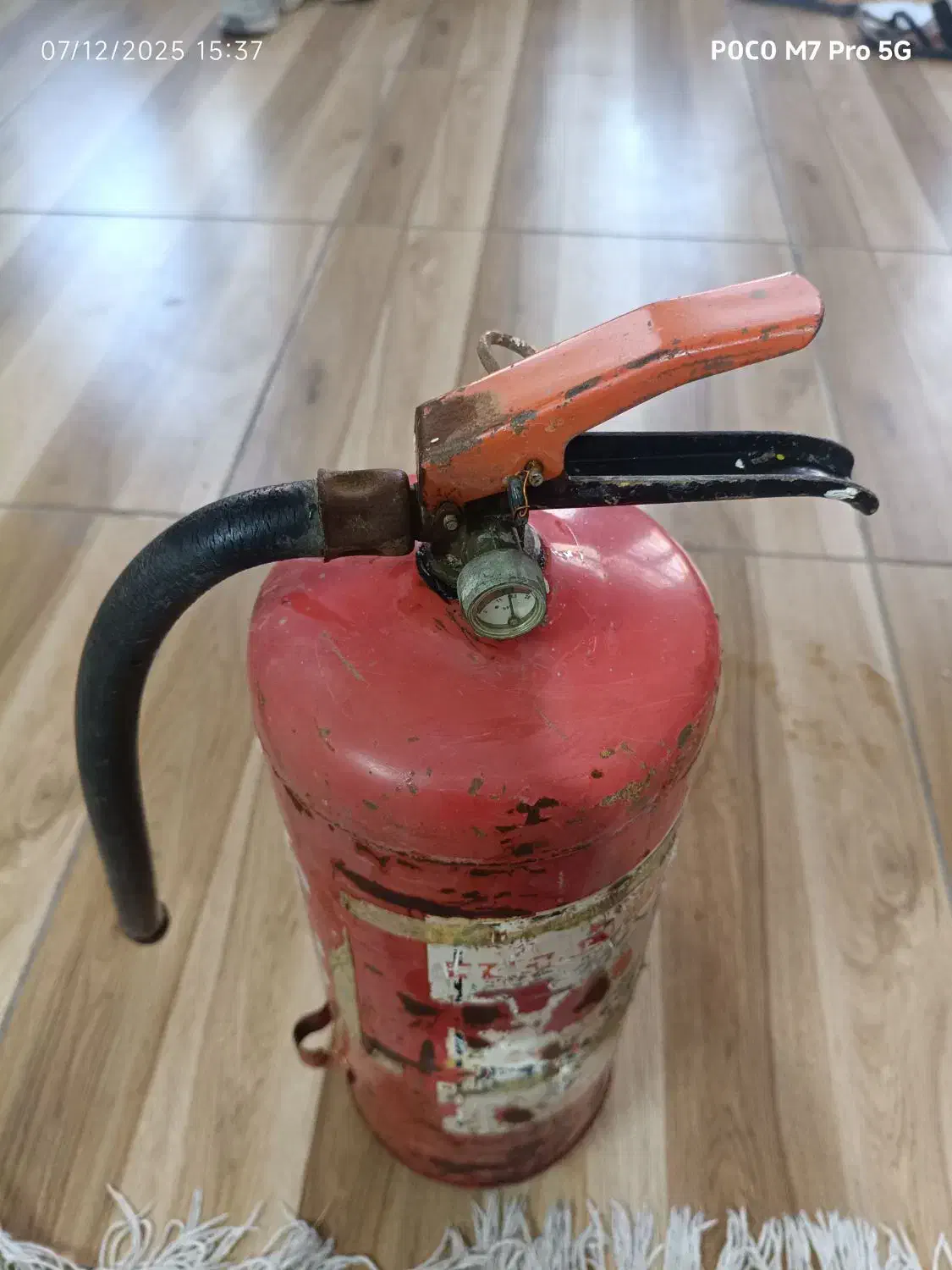 سالم|فروشگاه و مغازه|مرودشت, فاز دوم شهرک فرهنگیان|دیوار