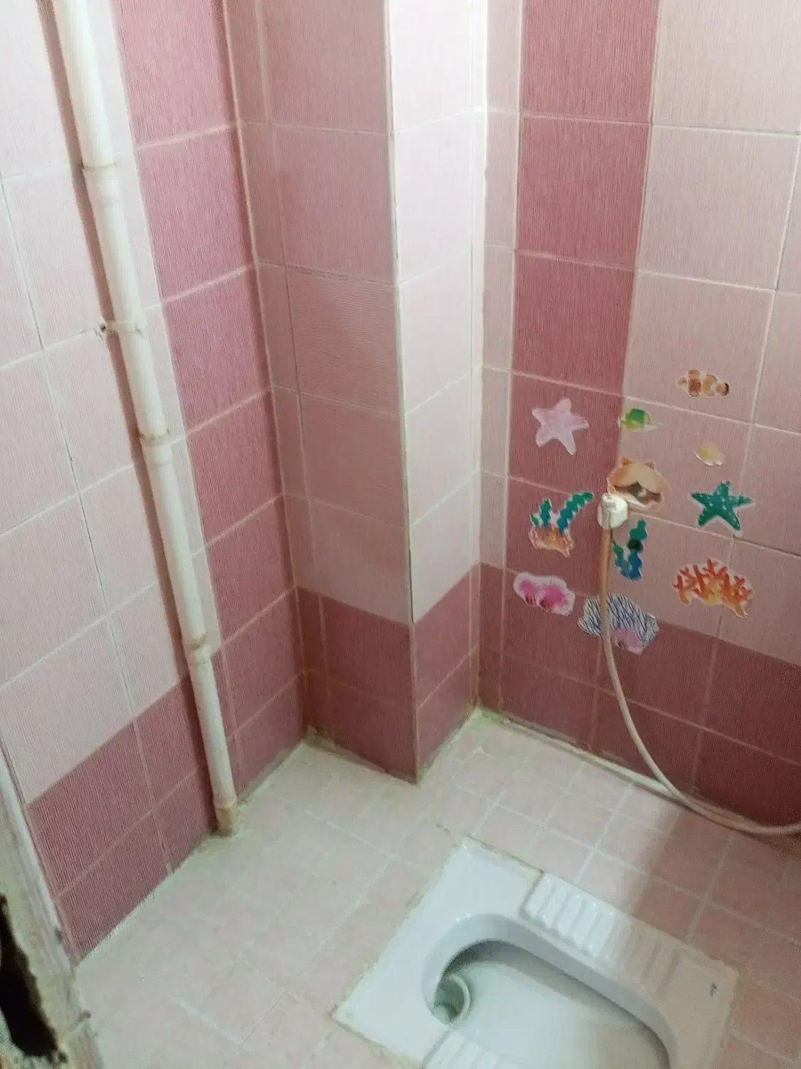 لوله بازکنی تمام وقت (عالیپور)سیاهو|خدمات پیشه و مهارت|بندرعباس, |دیوار