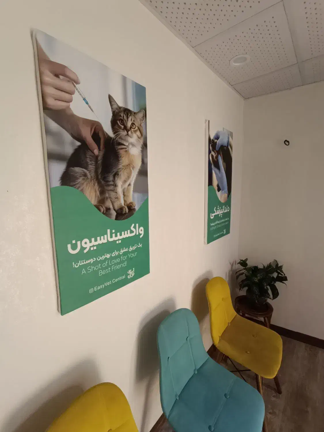 دوره مهارتی تزریقات و واکسیناسیون دامپزشکی|خدمات آموزشی|رشت, گلزاران|دیوار