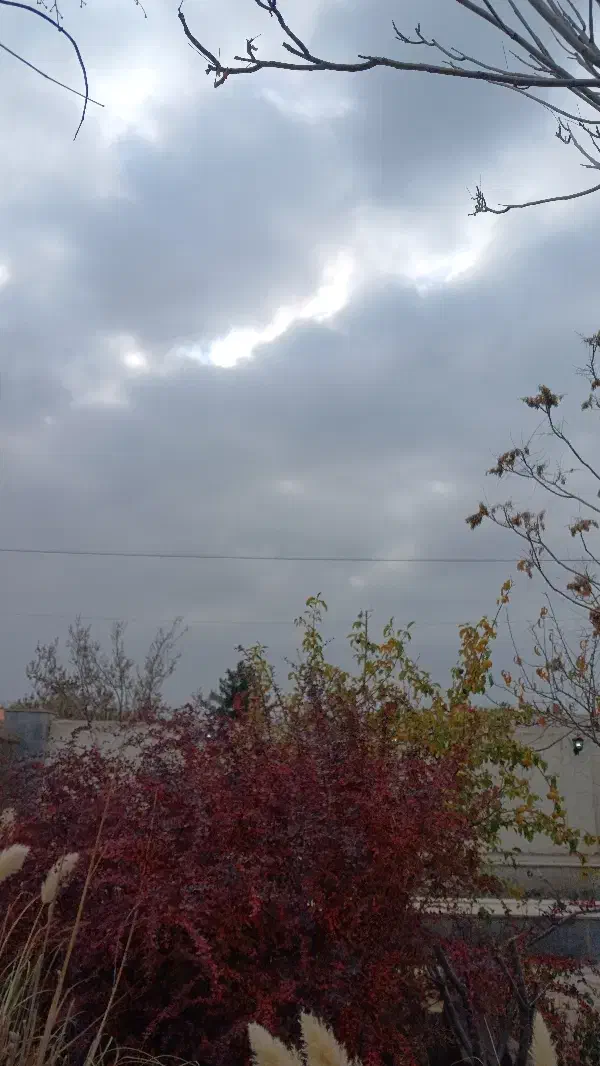 کارت ملی گم شده|اشیا|مشهد, جاهد شهر|دیوار