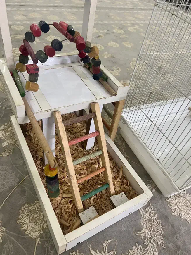 قفس و اسباب بازی پرنده|لوازم جانبی حیوانات|لاهیجان, امیرشهید|دیوار