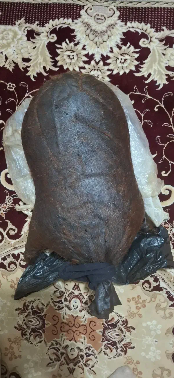 هیزه|حیوانات مزرعه|نورآباد, |دیوار