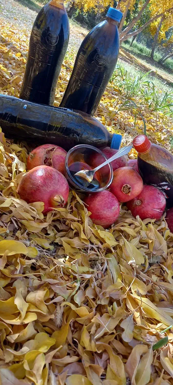 فروش|خوردنی و آشامیدنی|استهبان, |دیوار