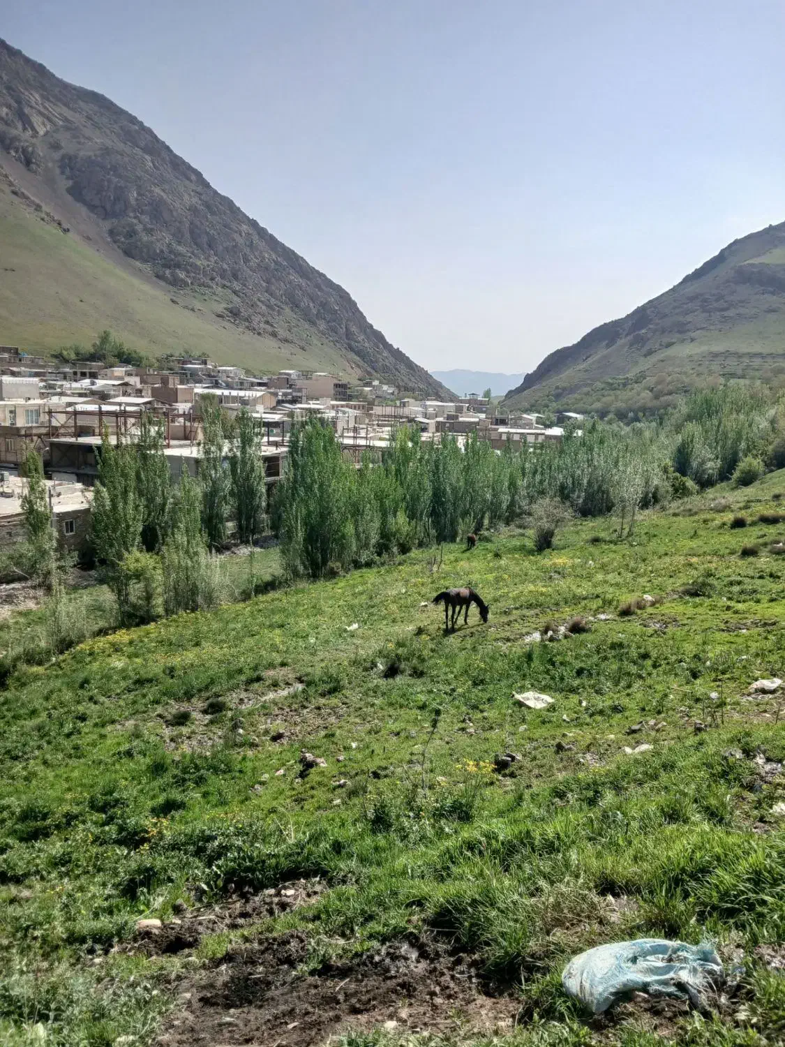 سویت در ونایی|اجارهٔ کوتاه‌مدت آپارتمان و سوئیت|اشترینان, |دیوار