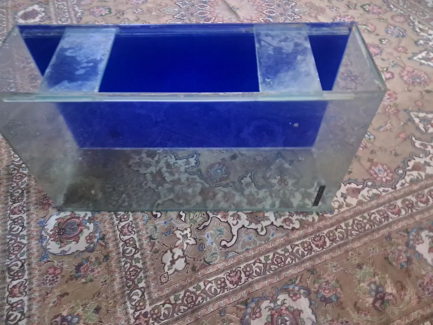 اکواریوم|ماهی|قرچک, مهدیه|دیوار