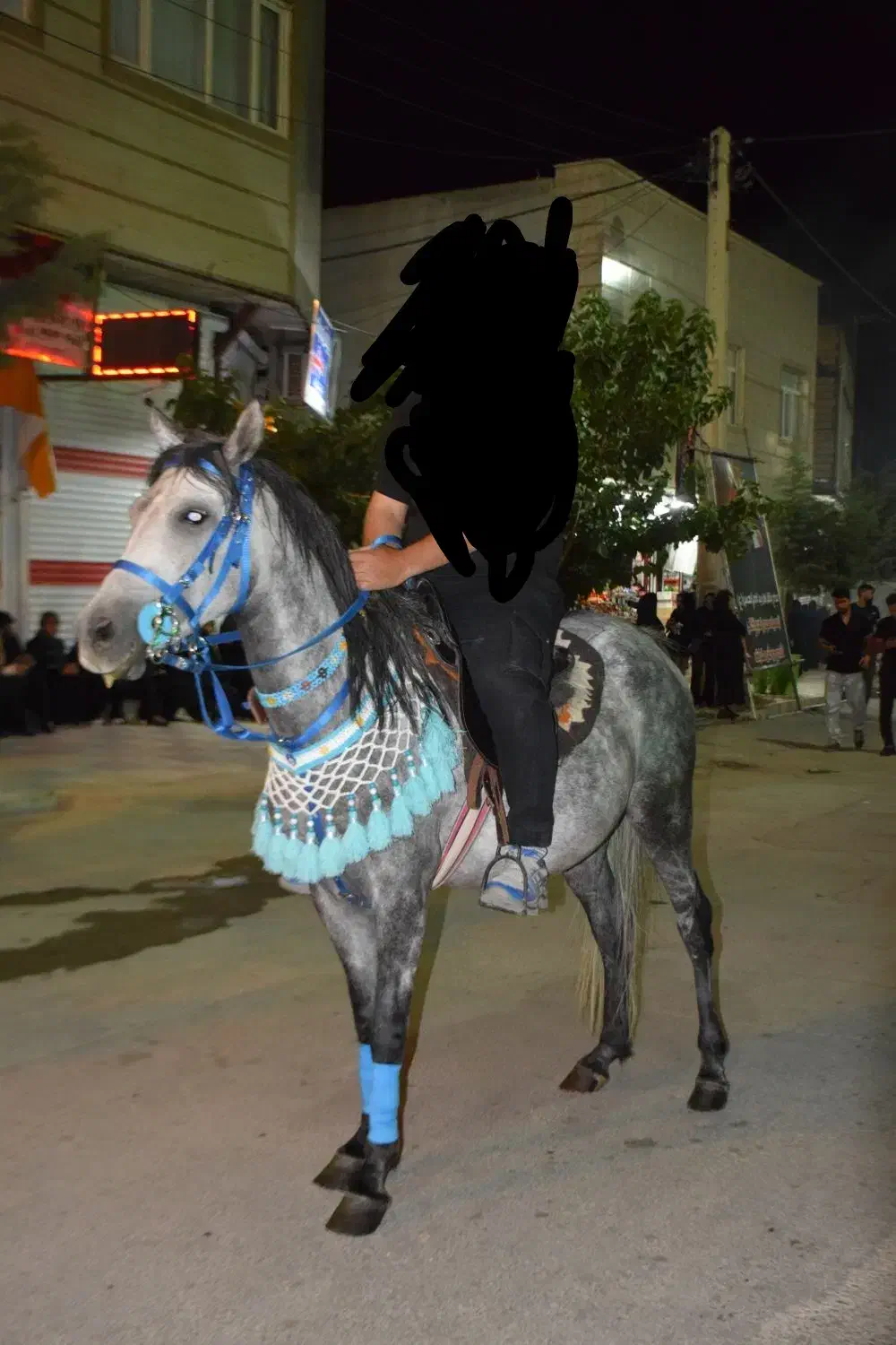 مادیان جوان|اسب و تجهیزات اسب‌سواری|سردرود, |دیوار