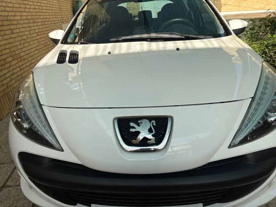 ۲۰۷پاناتمیز|خودرو سواری و وانت|یزد, |دیوار