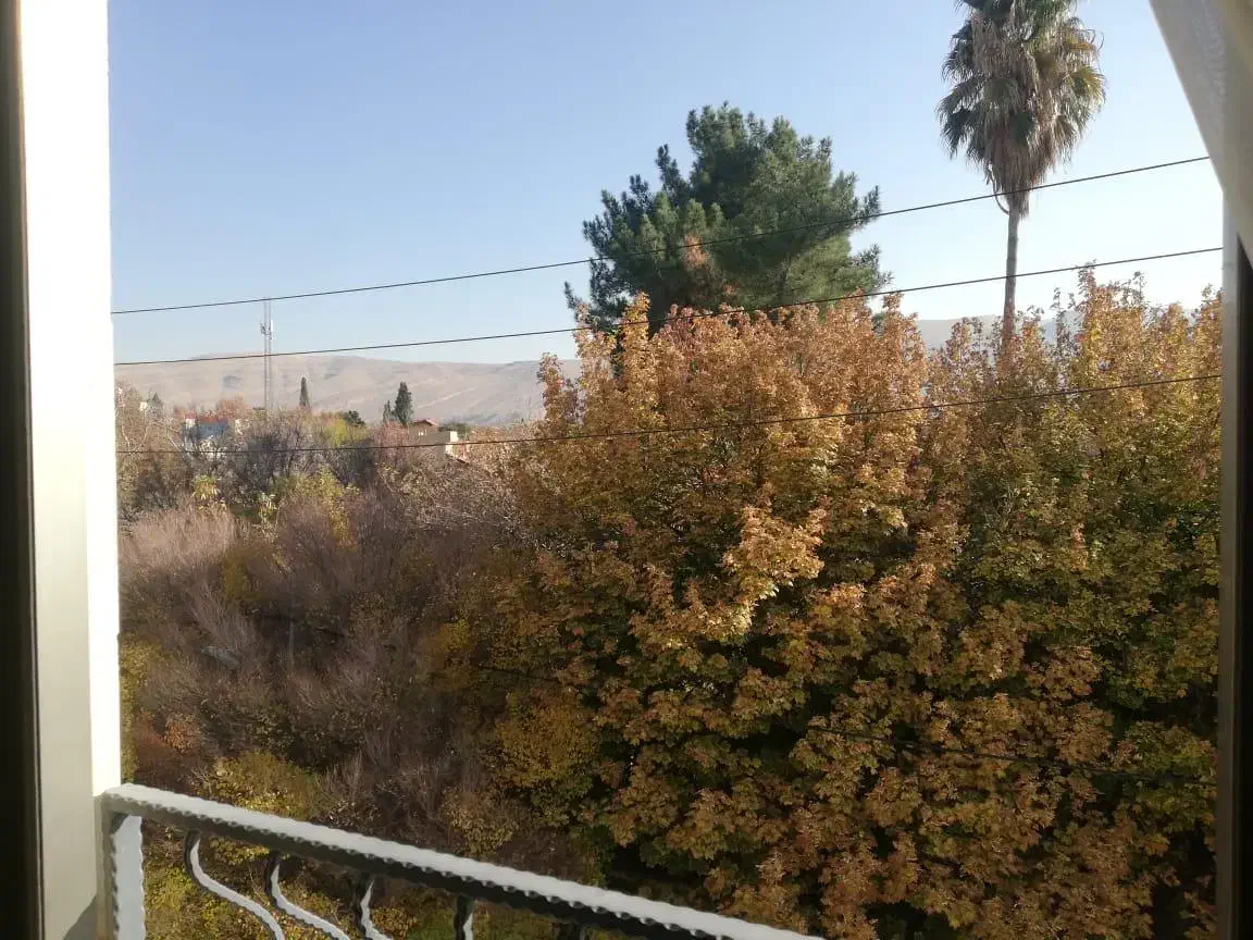 مغازه 82 متر|فروش مغازه و غرفه|شیراز, میرزاکوچک خان|دیوار