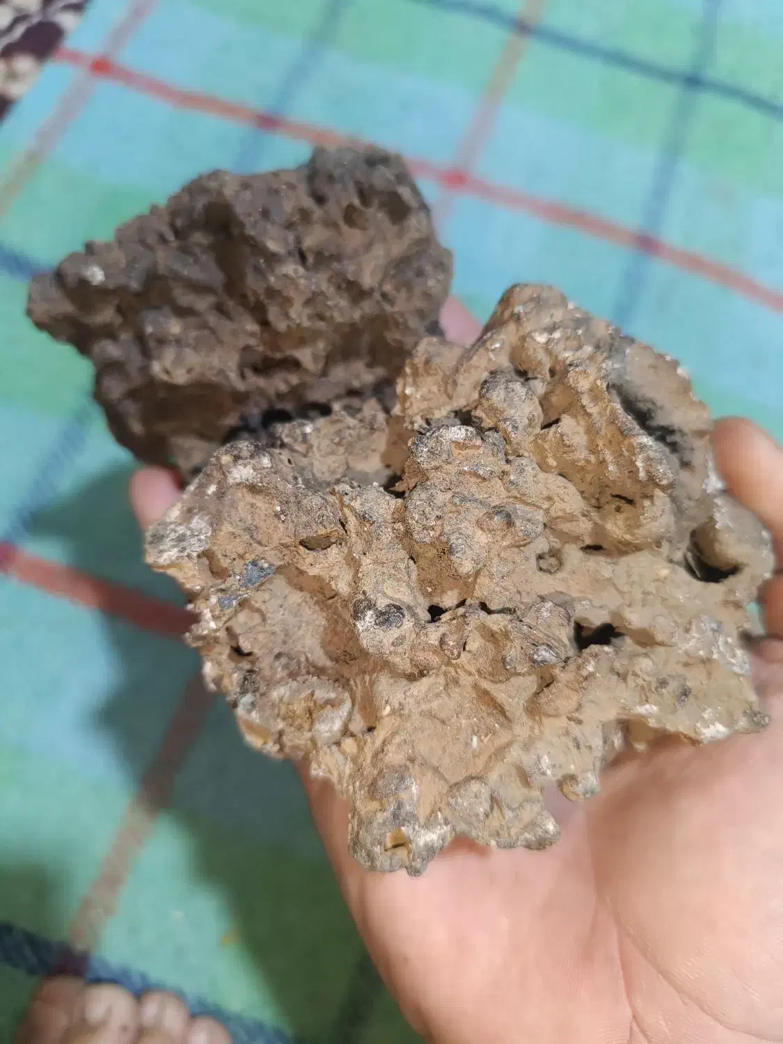 سنگ|کلکسیون و سرگرمی|کوه چنار, |دیوار