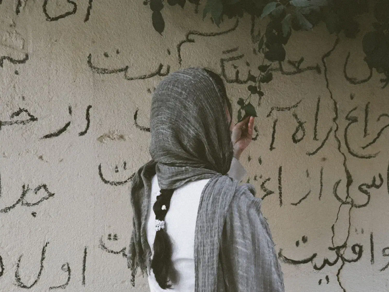 عکاسی رایگان|خدمات پذیرایی، مراسم|قم, کلهری|دیوار