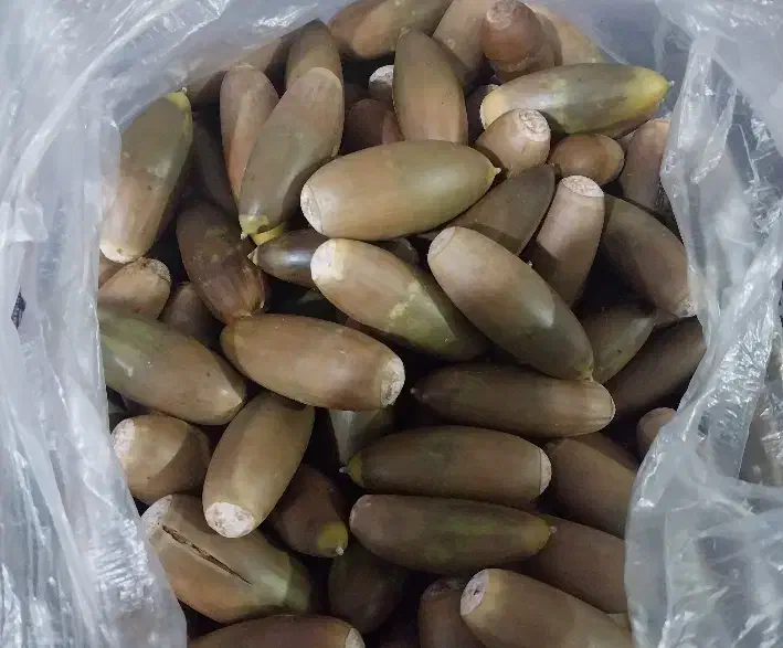 بلوط شیرین|خوردنی و آشامیدنی|سرپل ذهاب, |دیوار