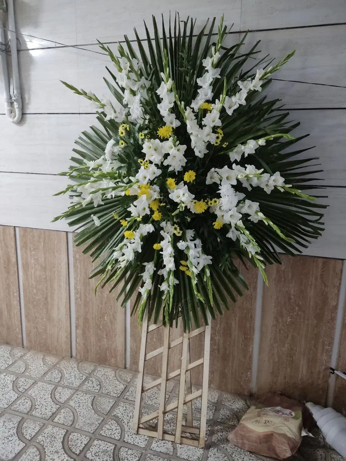 تاج گل|گل و گیاه طبیعی|تربتحیدریه, کلاته توکلی|دیوار