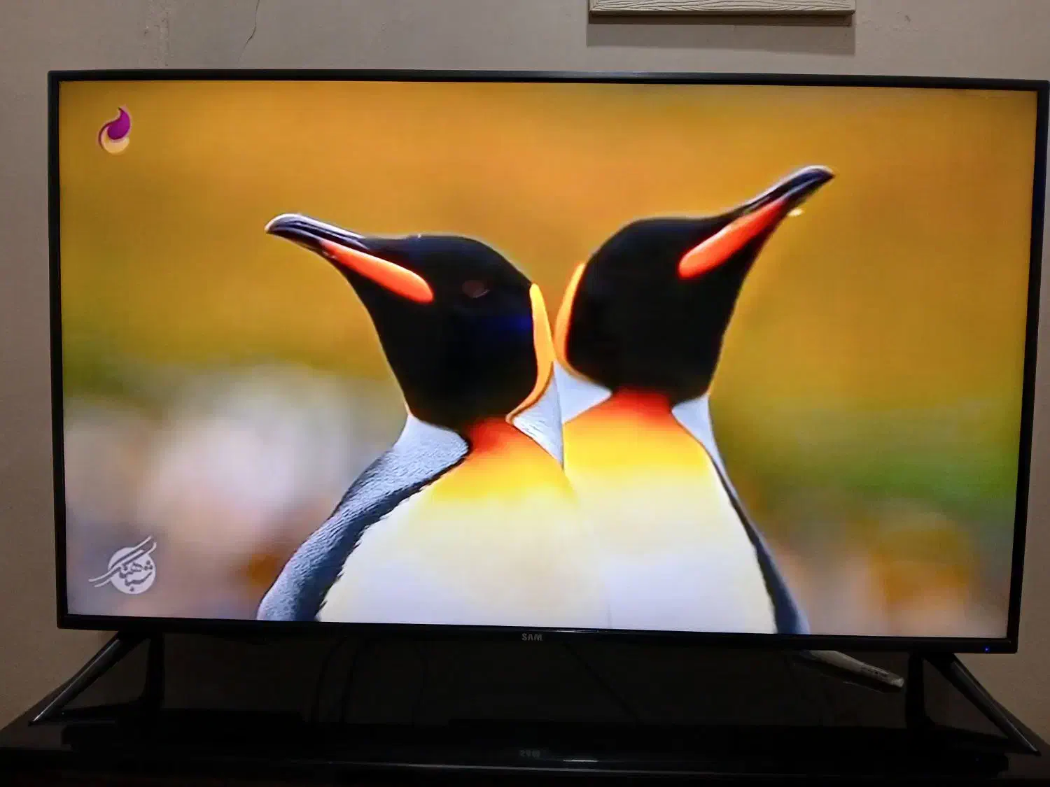 تلوزیون سام ۵۰ اینچ|تلویزیون و پروژکتور|تهران, اتابک|دیوار