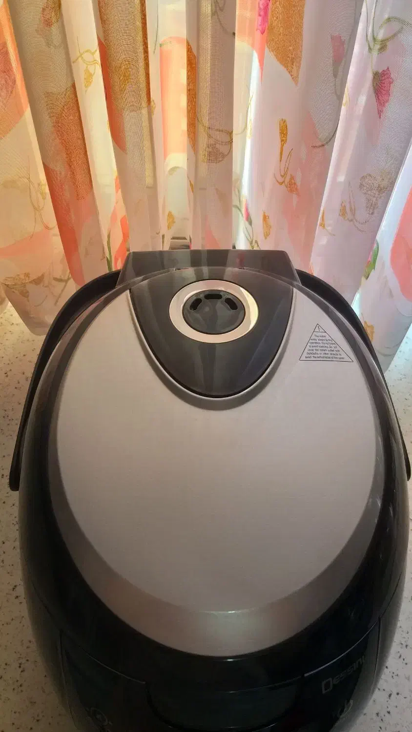 سرخ کن و بخار پز دِسنی|اجاق گاز و لوازم برقی پختوپز|رشت, نظری|دیوار