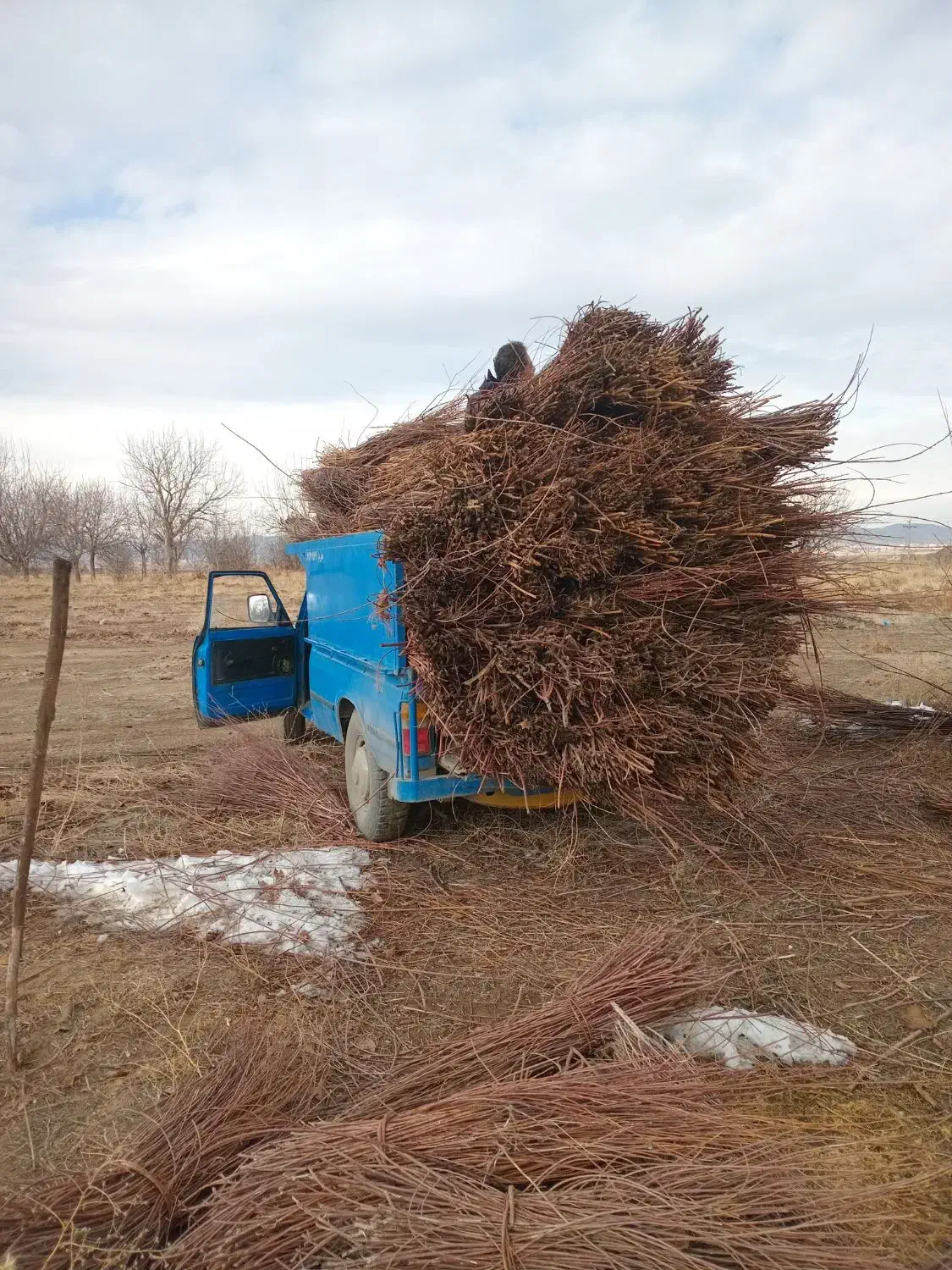 حمل بار با نیسان|خدمات حمل و نقل|ملایر, |دیوار