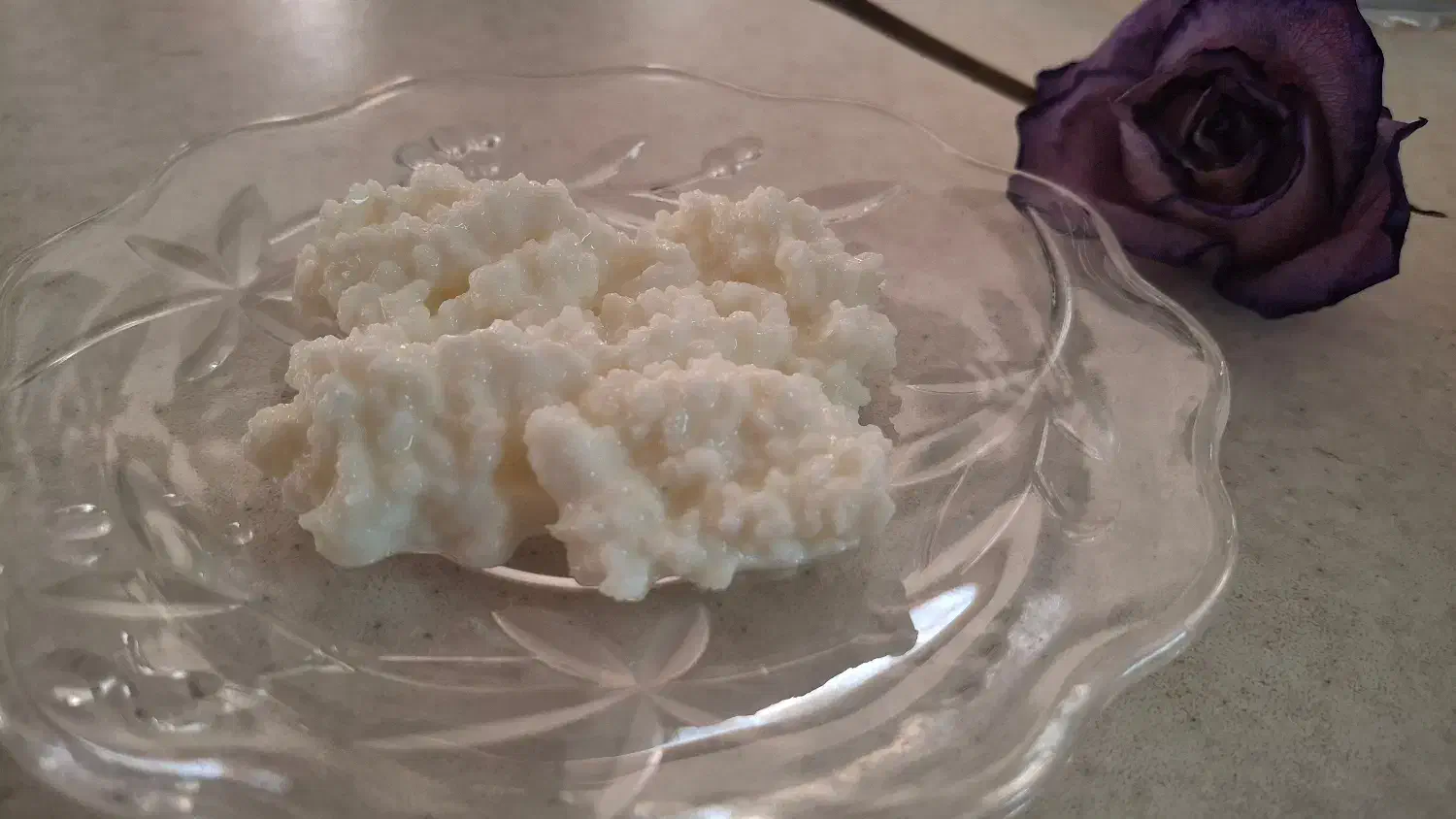 قارچ، دوغ و ماست کفیر اصل قفقاز|خوردنی و آشامیدنی|تهران, حکیمیه|دیوار