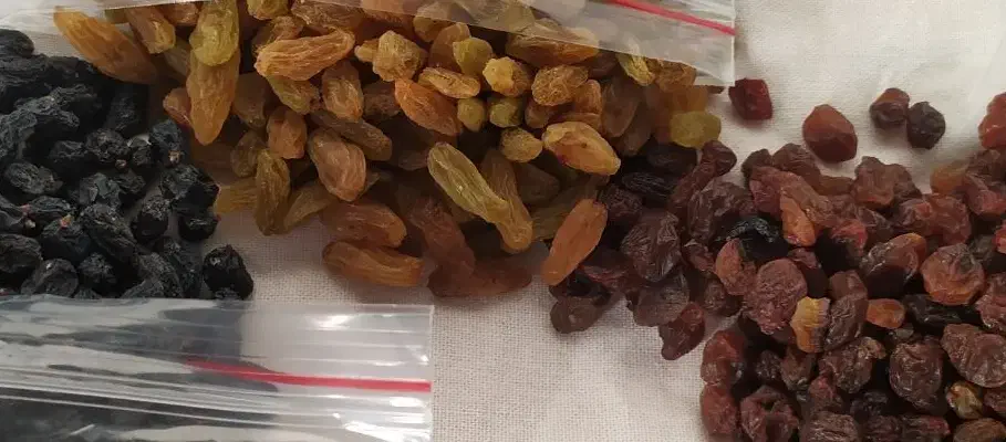 مویز کشمش سبز و پلوئی محصول کاشمر|خوردنی و آشامیدنی|مشهد, هنرور|دیوار