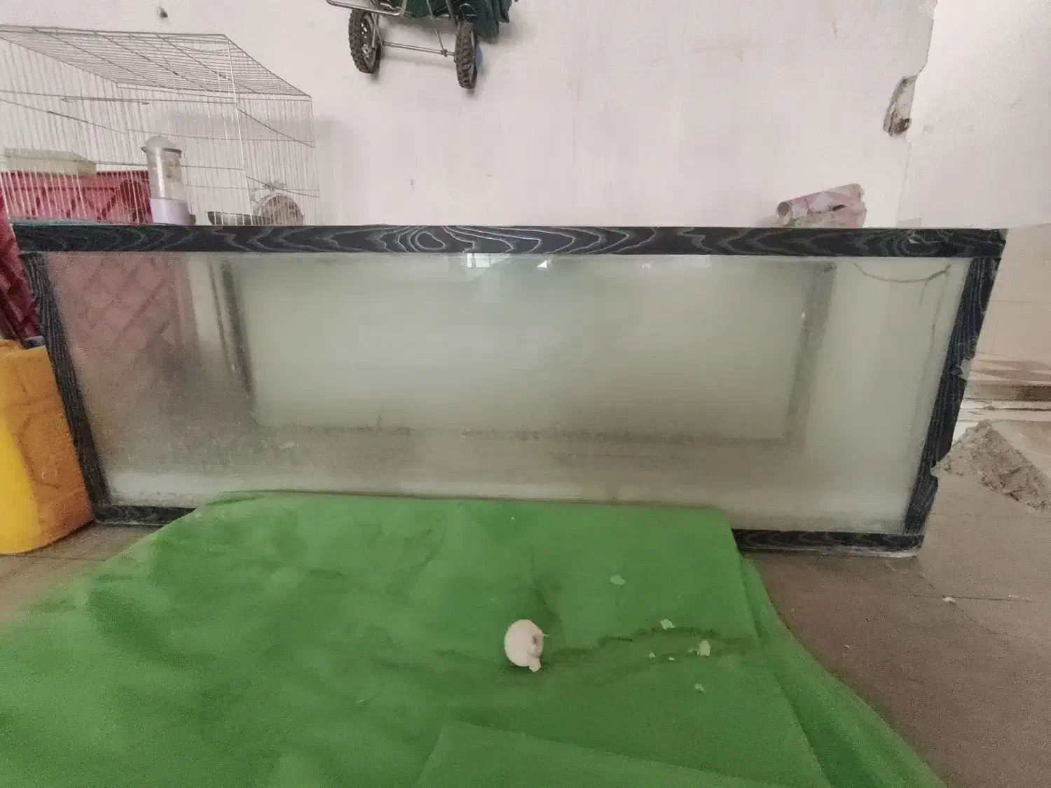 دو عدد اکواریوم|ماهی|شیراز, پودنک|دیوار