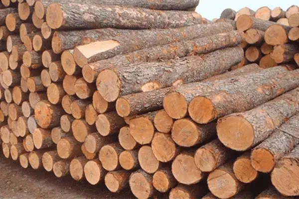 خرید چوب از کشاورزان عزیز|خدمات باغبانی و درختکاری|بیرجند, |دیوار