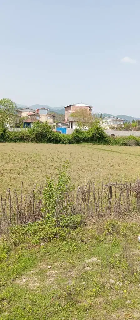 زمین مزروعی و شالیزار|فروش زمین و ملک کلنگی|لوندویل, |دیوار