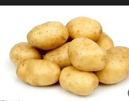 فروش سیب زمینی درجه۱|عمده‌فروشی|خاوه, |دیوار