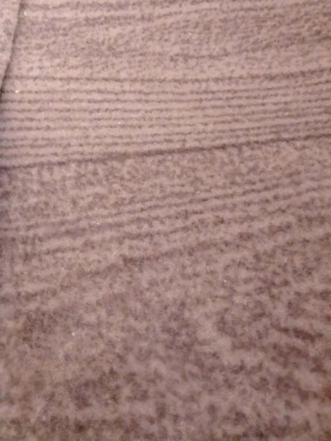 12متر موکت|موکت|قرچک, پویینک|دیوار