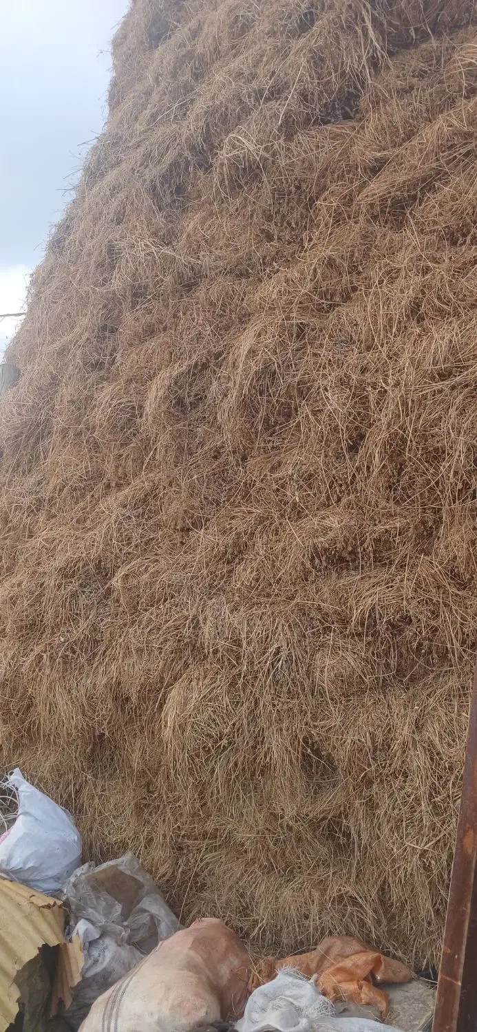 یونجه|لوازم جانبی حیوانات|خوی, |دیوار